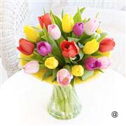 Mixed Tulip Perfect Gift 13