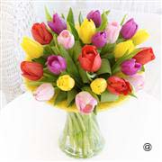 Large Mixed Tulip Perfect Gift with Chocolates 13