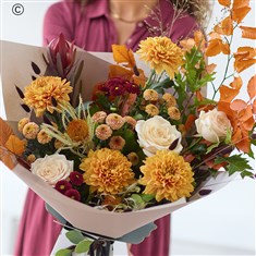 The Chrysanthemum Glow